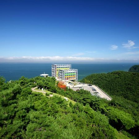 Haslla Art World Museum Hotel Gangneung Exterior photo